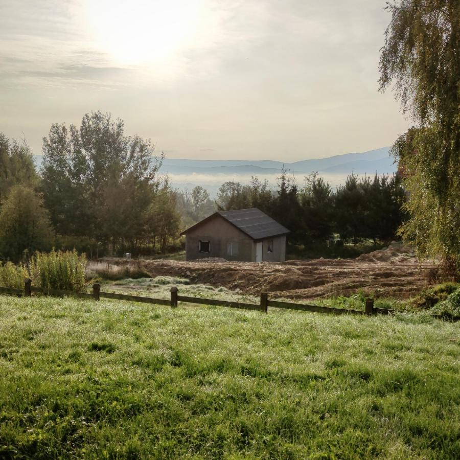 Domek Na Wzgorzu Wojcieszyce Экстерьер фото