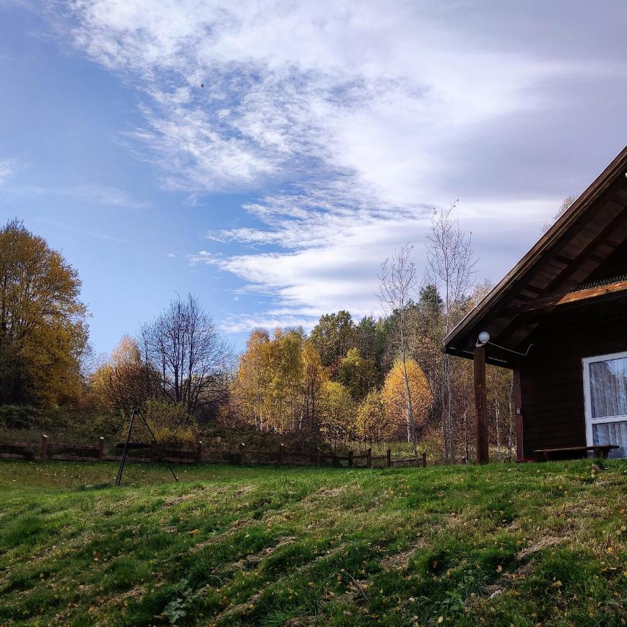 Domek Na Wzgorzu Wojcieszyce Экстерьер фото